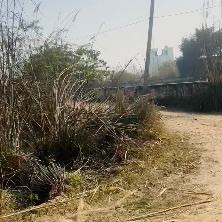 undefined, surya-chaman-enclave  150 Sq.Yd. Plot In Dhoom Manikpur Greater Noida 9692577