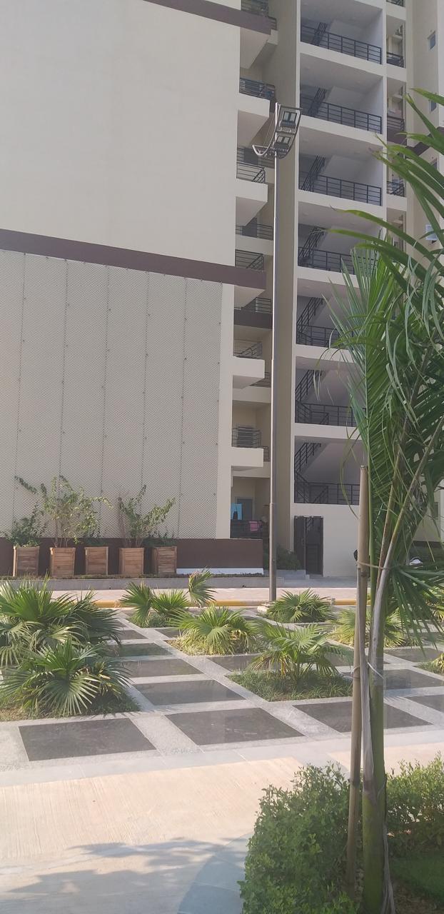 2 BHK Apartment For Rent in Stellar Okas Golf View