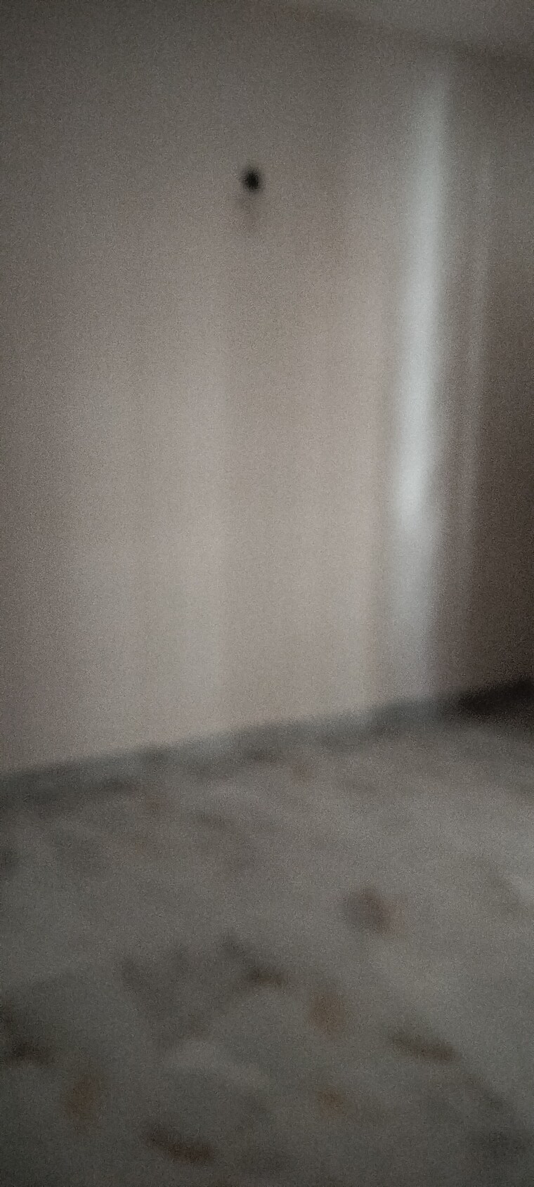 Room, btm-delite 1 Bedroom 650 Sq.Ft. Builder Floor In Btm Layout Bangalore 9693771