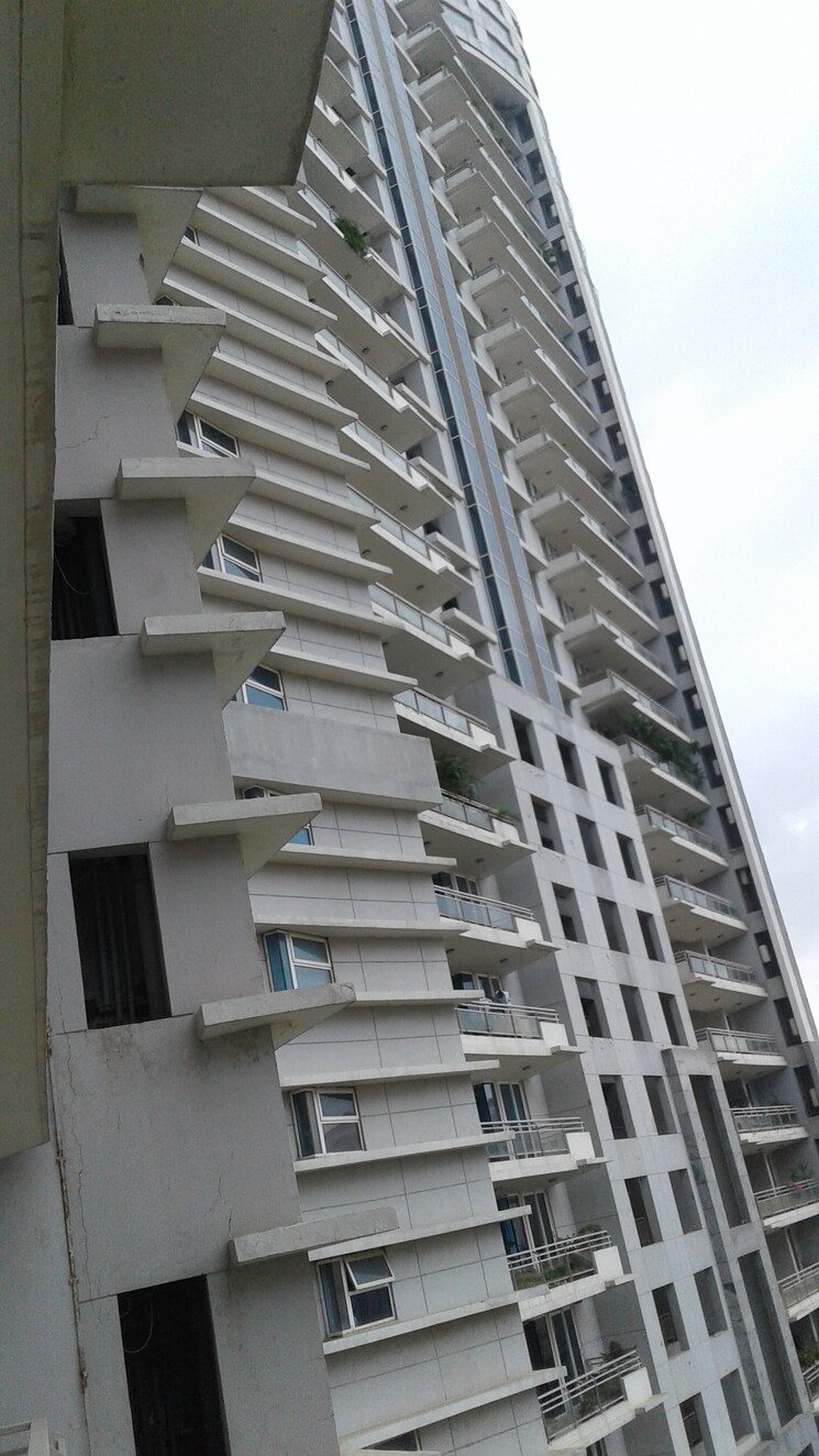 Exterior View, dlf-the-belaire 4 Bedroom 3065 Sq.Ft. Apartment In Sector 54 Gurgaon 9693957