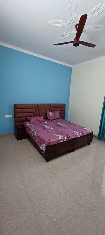 1 BHK Apartment For Rent in Sector 82