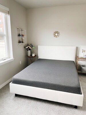 4 BHK Builder Floor For Rent in Vasant Vihar