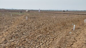 Plot Area in  Plot at Shreenath Regency, Tonk Road – for Sale