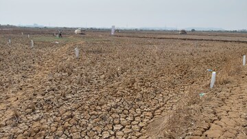 Plot Area in  Plot at Shreenath Regency, Tonk Road – for Sale