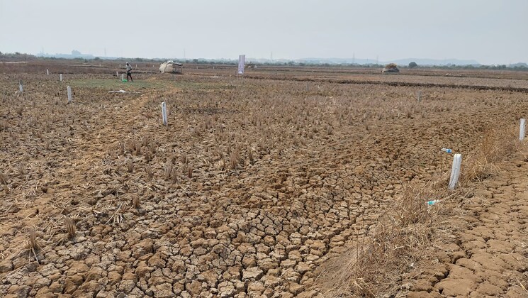 undefined, shreenath-regency  140 Sq.Yd. Plot In Tonk Road Jaipur 9694997