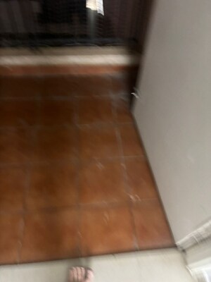  3 BHK Apartment at Vajram Essenza, Yelahanka – for Rent