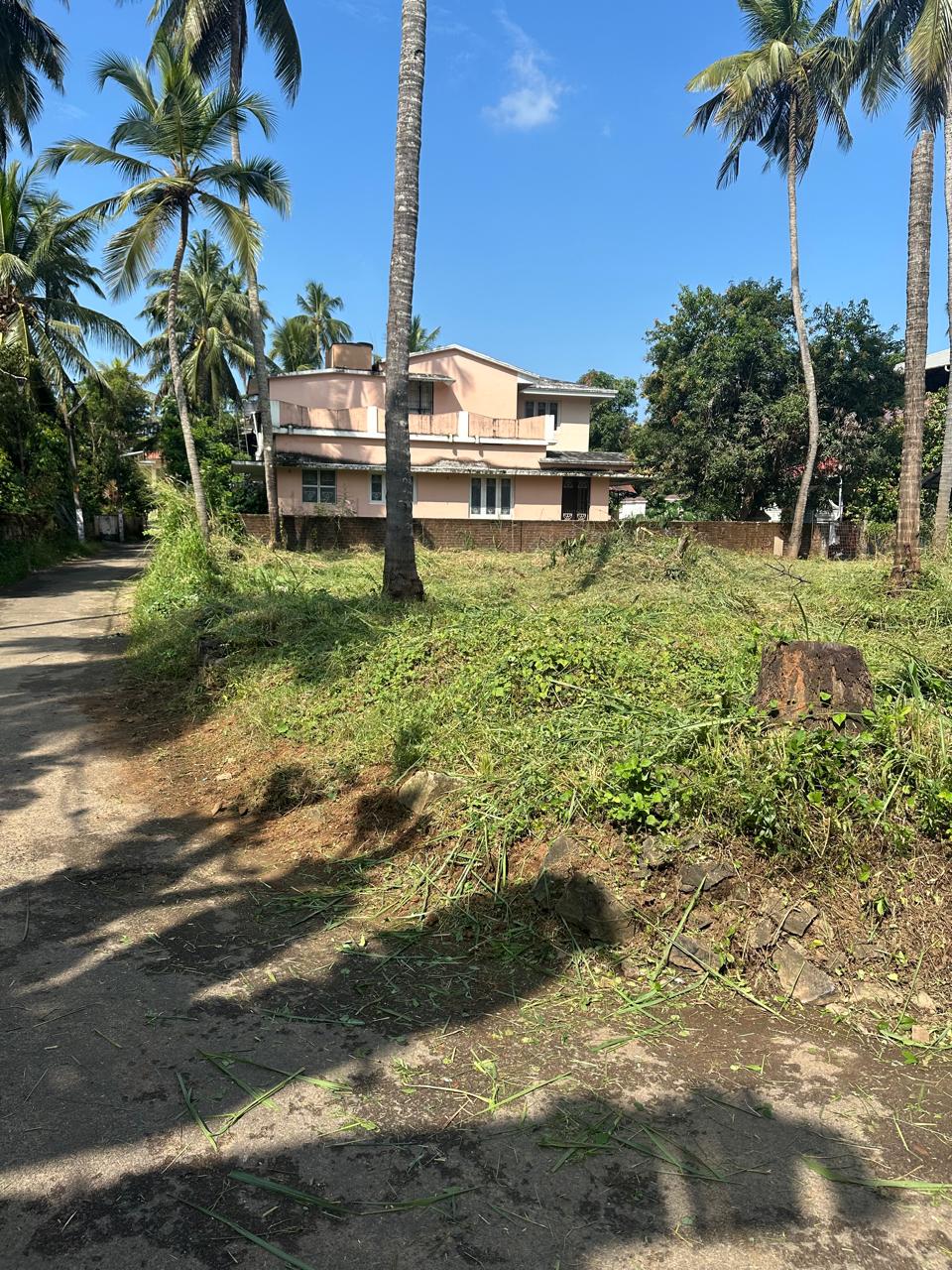 Plot For Sale in Kuttanellur