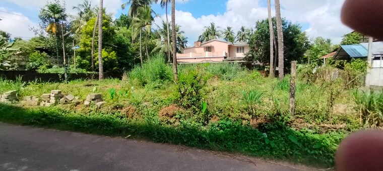 undefined, kuttanellur  4573 Sq.Ft. Plot In Kuttanellur Thrissur 9695440