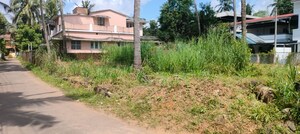 Plot Area in  Plot at Kuttanellur – for Sale