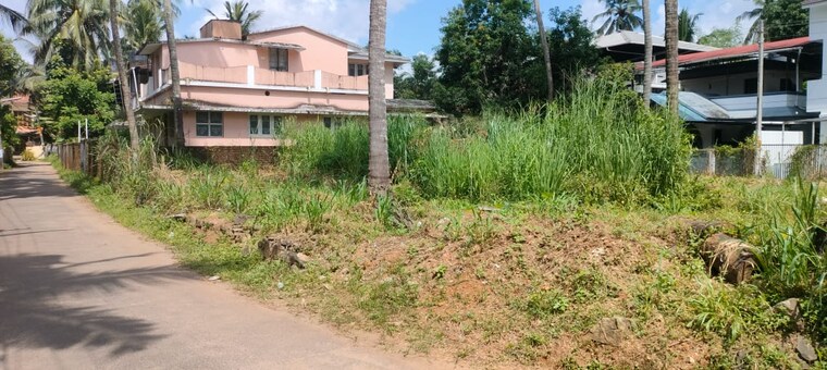 undefined, kuttanellur  4573 Sq.Ft. Plot In Kuttanellur Thrissur 9695440