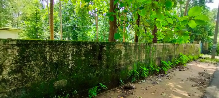 Exterior View, kottekkad  6534 Sq.Ft. Plot In Kottekkad Thrissur 9695680