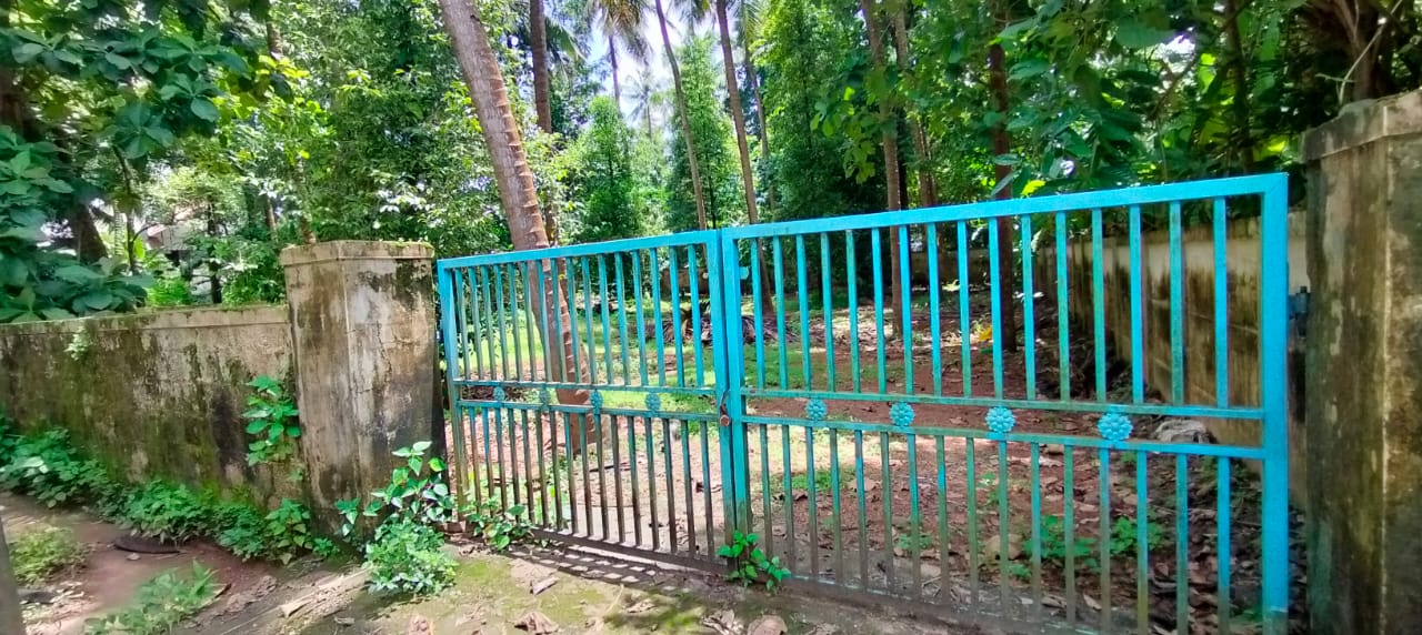 Plot For Sale in Kottekkad