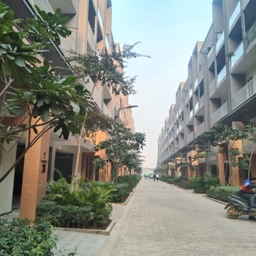 3 BHK Apartment For Rent in Smart World Orchard, Sector 61