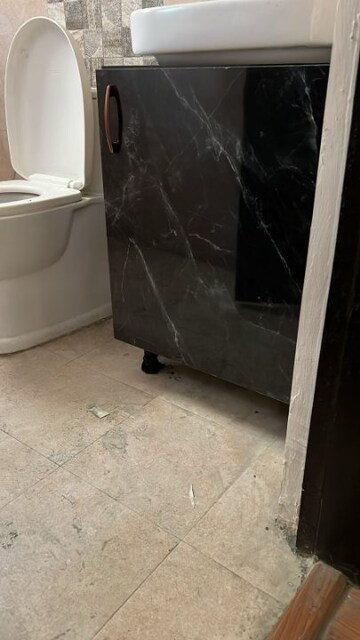 Bathroom in 3 BHK Apartment at Signature Global Park 4 and 5, Sohna Sector 36 – for Rent