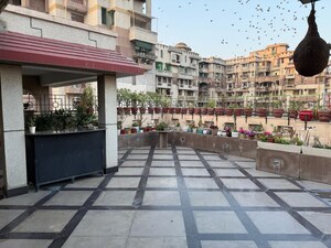3 BHK Apartment For Rent in Gaur Sportswood, Sector 79