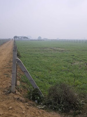 Plot Area in  Plot at Chinhat – for Sale