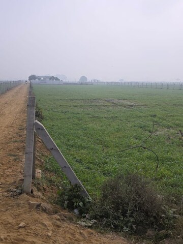 Plot Area in  Plot at Chinhat – for Sale