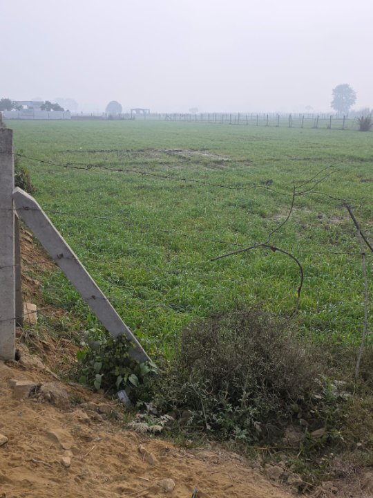 Plot For Sale in Chinhat