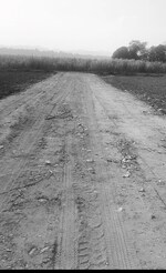 100 Sq.Yd. Plot in Doiwala