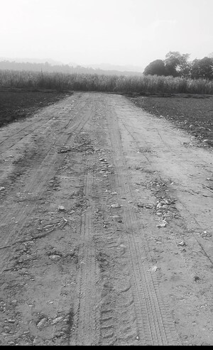  Plot For Sale in Doiwala