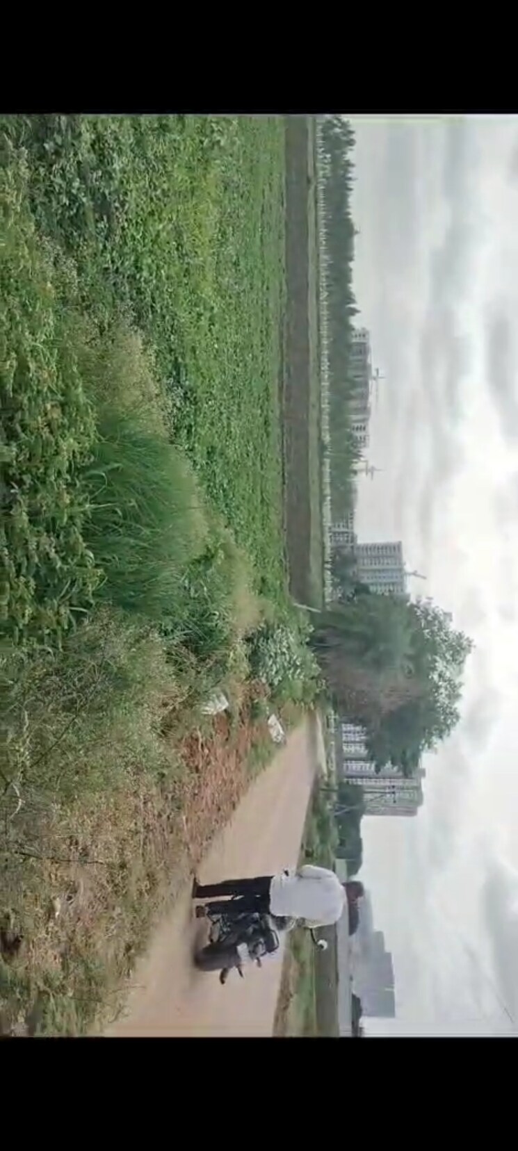 Garden, velmala Commercial Land 2540 Sq.Yd. In Velmala Hyderabad 9696957