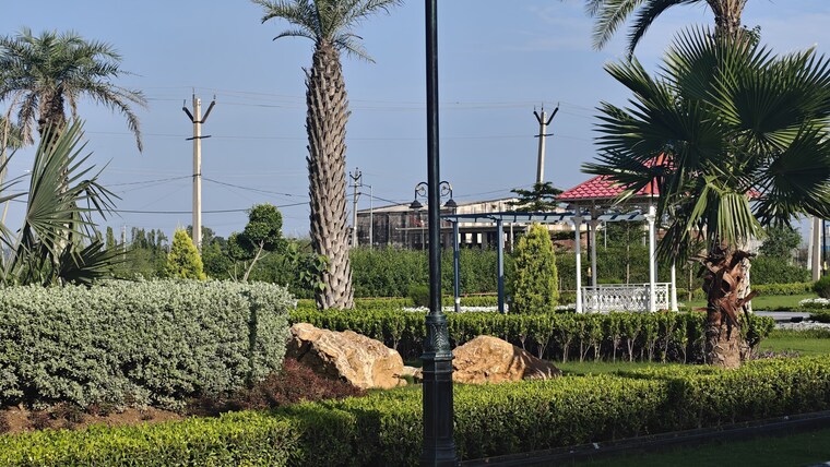 Garden, panchkula urban estate  160 Sq.Yd. Plot In Panchkula Urban Estate Panchkula 9697012