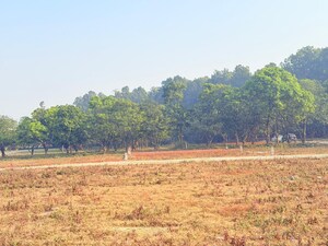  Plot For Sale in Badripur