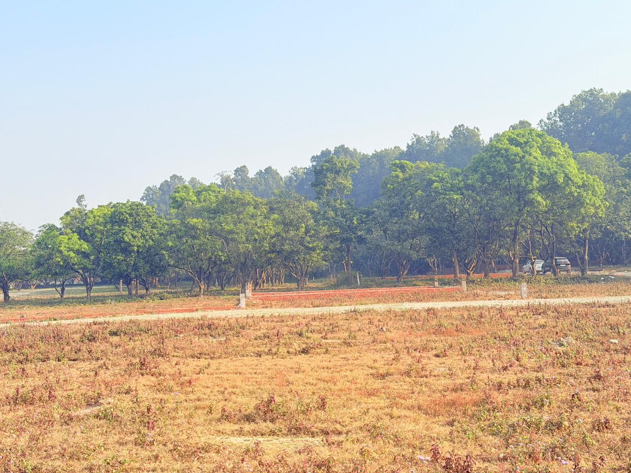 Plot For Sale in Saheed Bhagat Singh Colon