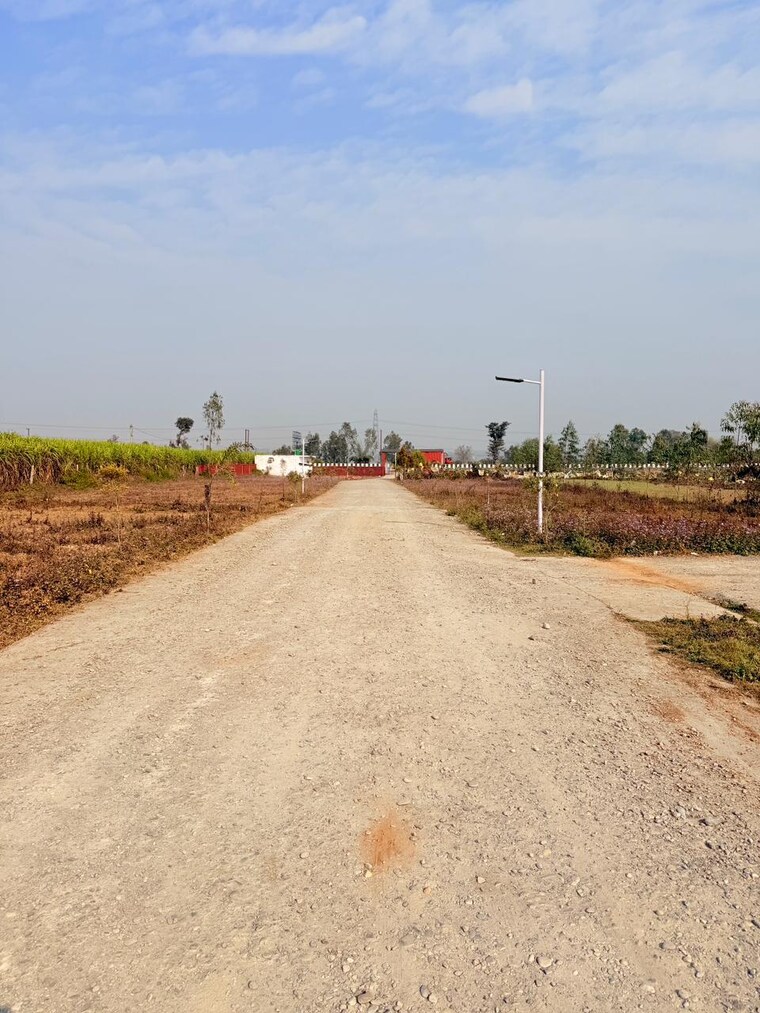 undefined, badripur  104 Sq.Yd. Plot In Badripur Dehradun 9697307