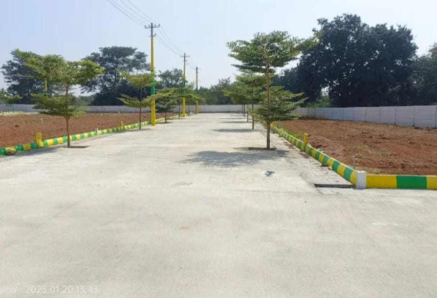 Plot For Sale in Maa Plots 