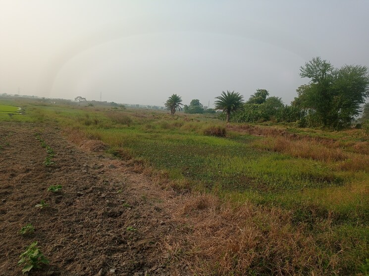 undefined, pipli  2880 Sq.Yd. Plot In Pipli Kolkata 9697393