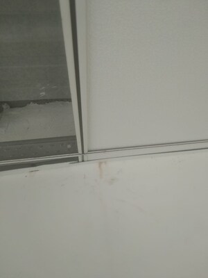 Room in 3 BHK Builder Floor at Emaar MGF Emerald Hills, Sector 65 – for Rent