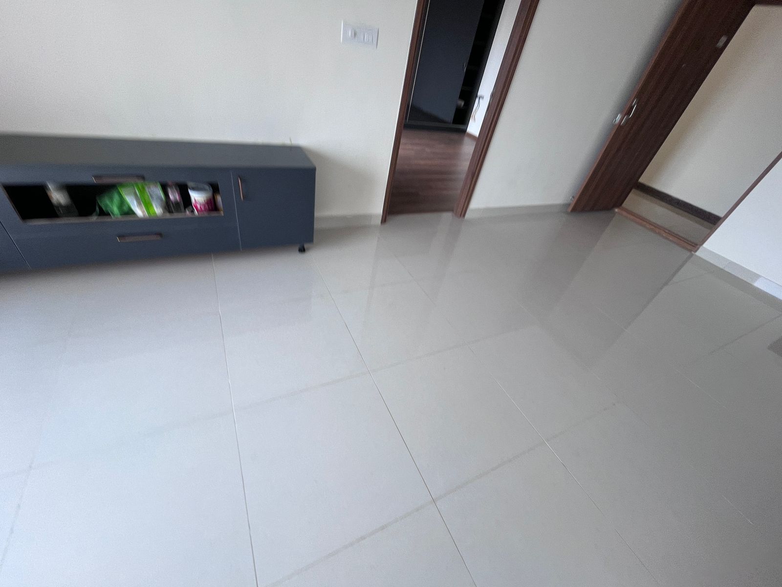 3 BHK Apartment For Sale in Monarch Aqua