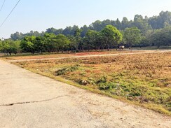 Plot For Sale in Shimla By Pass 