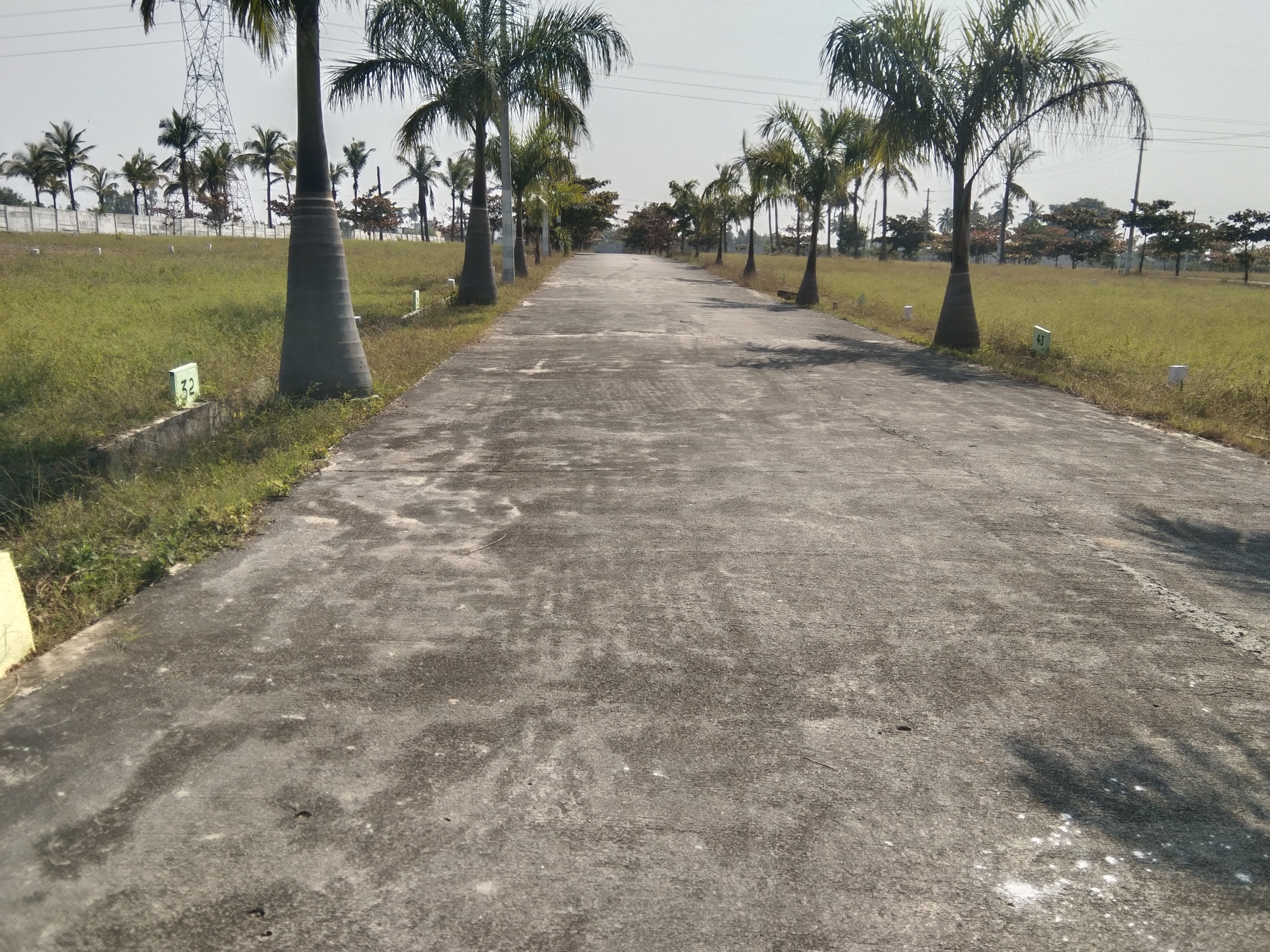 Plot For Sale in Plots For Sale 