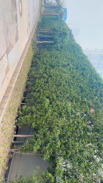 3 BHK Apartment – Garden View at Godrej Palm Retreat, Sector 150 - for Sale