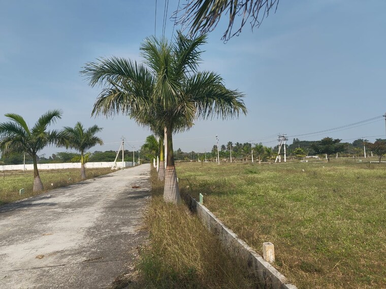 undefined, kolar  1200 Sq.Ft. Plot In Kolar Bangalore 9697640
