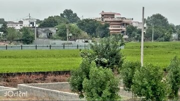 Plot Area in  Plot at Dankaur – for Sale