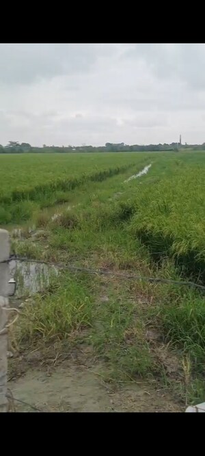 Plot Area in  Land at Gt Road – for Sale