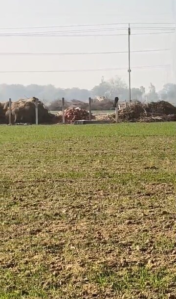 Plot Area in  Land at Gt Road – for Sale