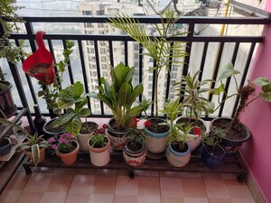 Gym in 2 BHK Apartment at Sethi Max Royal, Sector 76 – for Sale