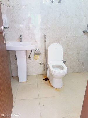 2 BHK Apartment For Rent in Ace Divino, Sector 1 Greater Noida