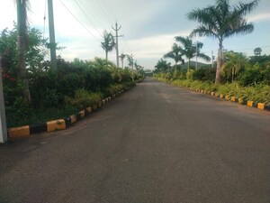  Plot For Sale in Bheemili
