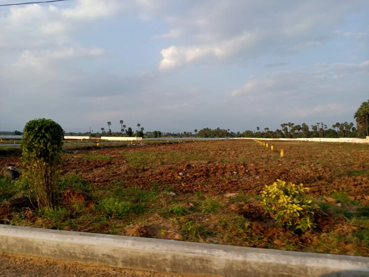 undefined, bheemili  200 Sq.Yd. Plot In Bheemili Vizag 9698247