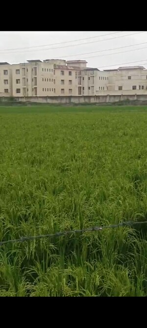 Plot Area in  Land at Jhajhar – for Sale