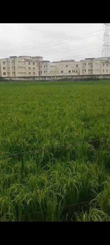  Land For Sale in Jhajhar