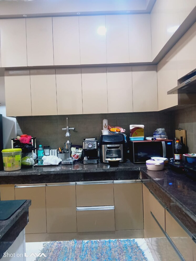 Kitchen, ace-divino 4 Bedroom 1875 Sq.Ft. Apartment In Sector 1 Greater Noida Greater Noida 9698311