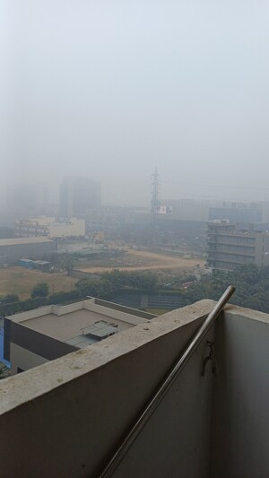 Kitchen in 2 BHK Apartment at Tulip Lemon, Sector 69 – for Rent