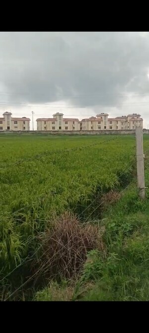  Land For Sale in Jhajhar