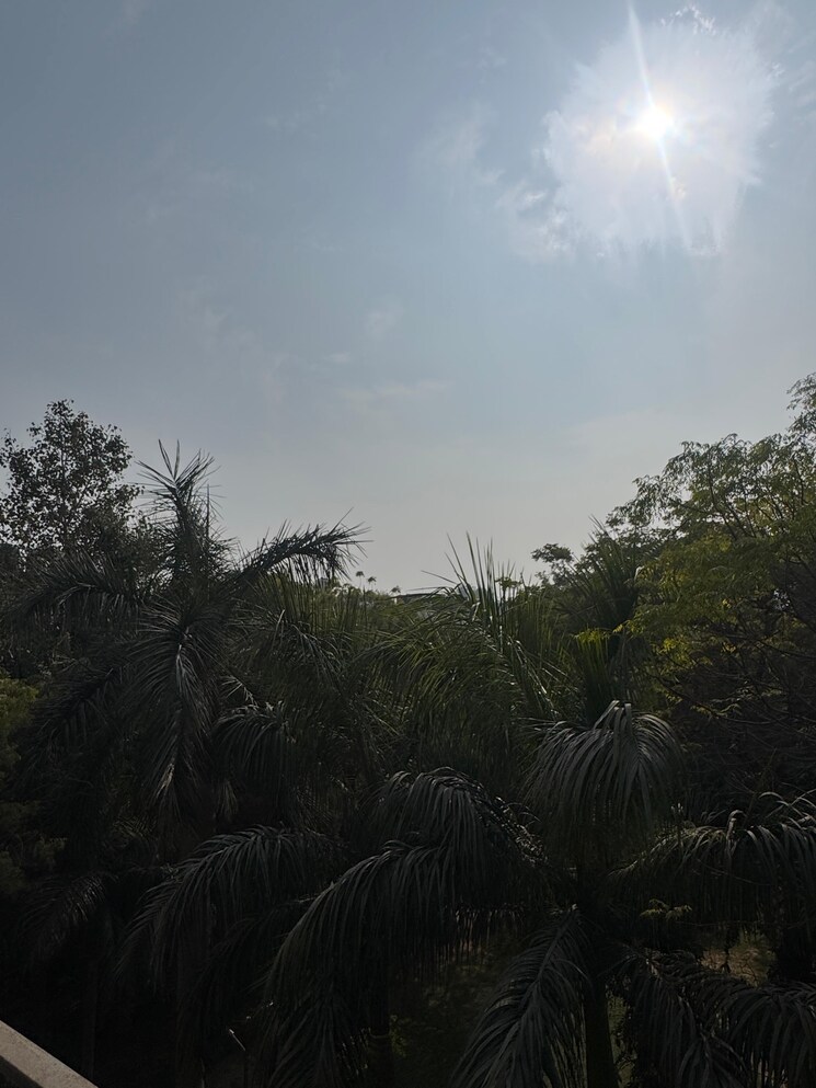 Garden, hauz khas 3 Bedroom 1500 Sq.Ft. Apartment In Hauz Khas Delhi 9698424